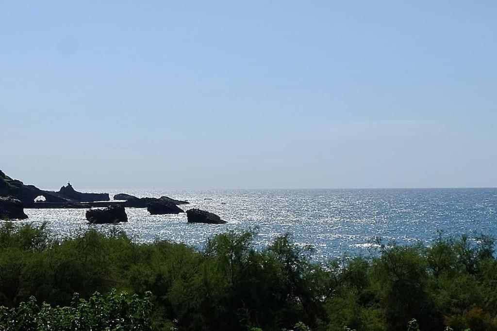 Appartement Le Sahel - Vue Imprenable Sur L'Ocean Biarritz Zewnętrze zdjęcie